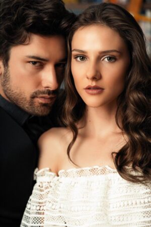турецкие сериалы 2009 года