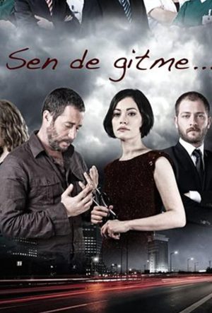 ты не уходи турецкий сериал 2011
