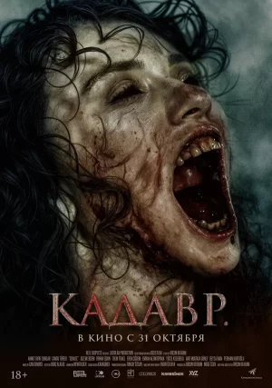 кадавр фильм 2023 смотреть онлайн бесплатно в хорошем качестве 