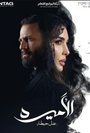 принцесса сериал 2025